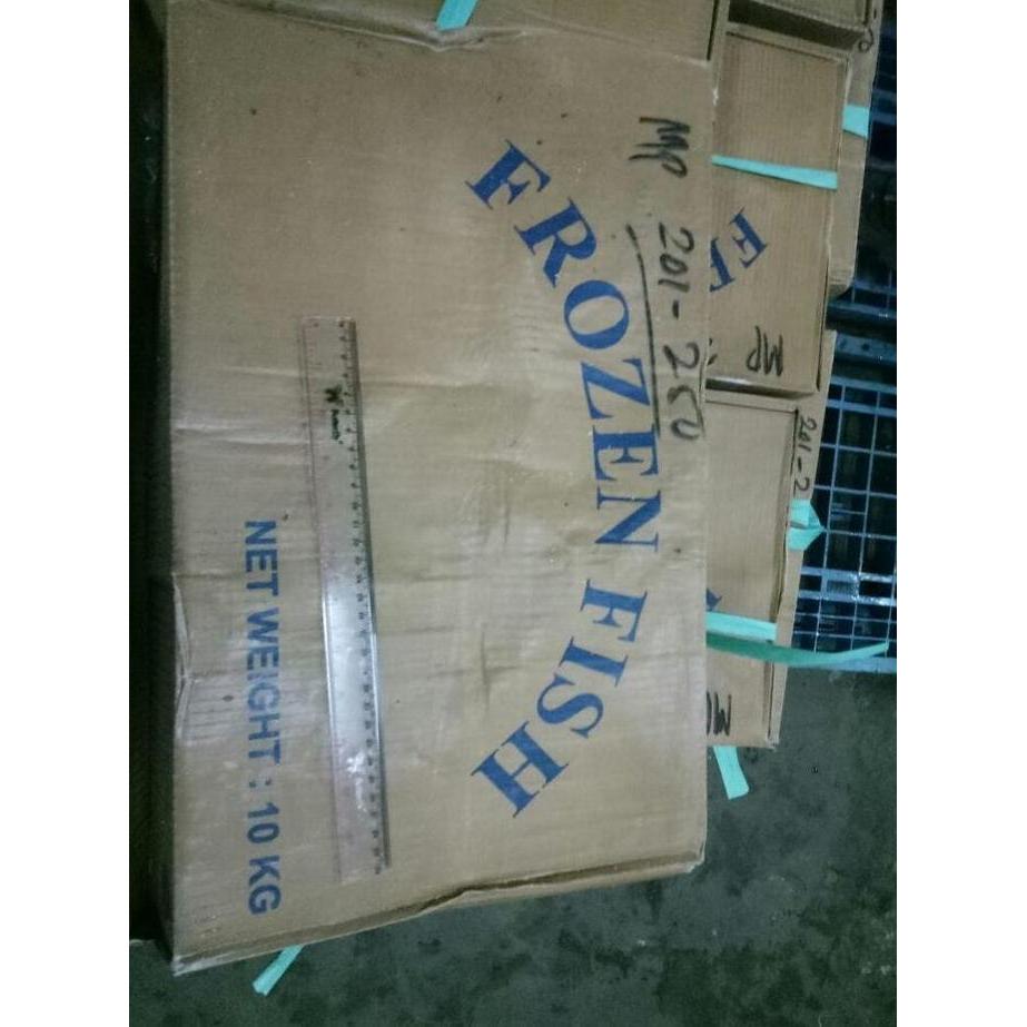 Catbull- Ikan Layang Cuek 200-250 Beku Per Dus