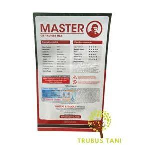 Benih Cabe Rawit - MASTER - 10