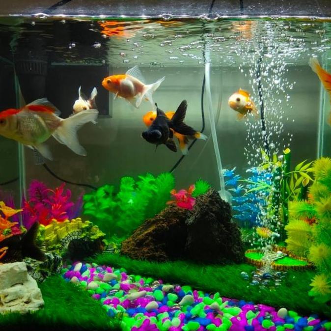 juprisyahpu - rumput sintetis aquarium ukuran 50x100 cm dekorasi aquarium aquascape