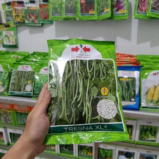 Indah- Benih Buncis Polong Hijau Tresna / Tresna Xl Original Panah Merah Isi 500Gr