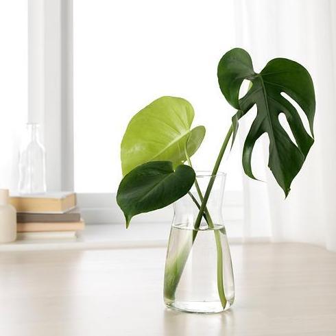 Obelik- Vas Bunga Tinggi 20 Cm Kaca