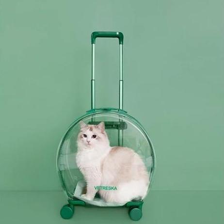 Tas Transparan Kucing Anjing Trolley Cargo Travel Bag Cat Dog Koper