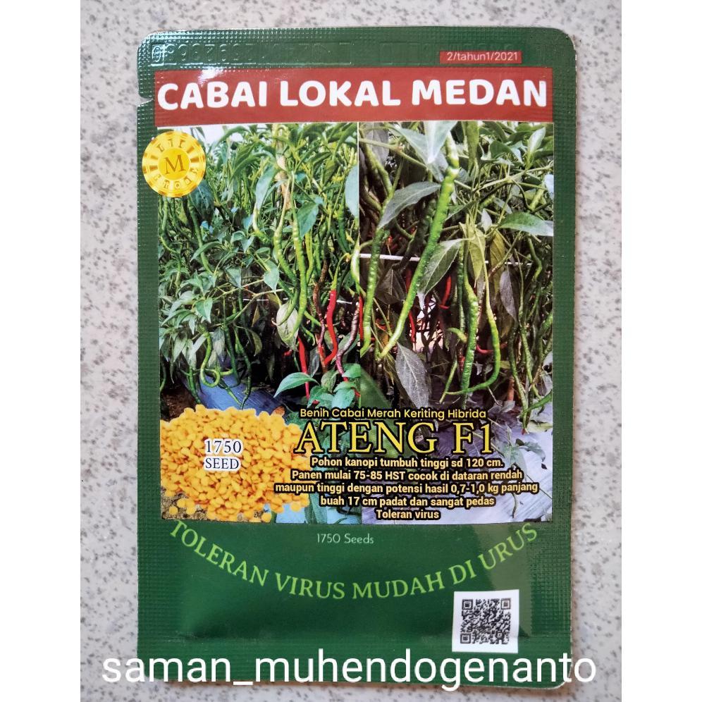 Benih Cabe Merah Keriting Hibrida ATENG F1 10 Gram Toleran Fusarium dan Virus  - Bibit Cabe ATENG F1