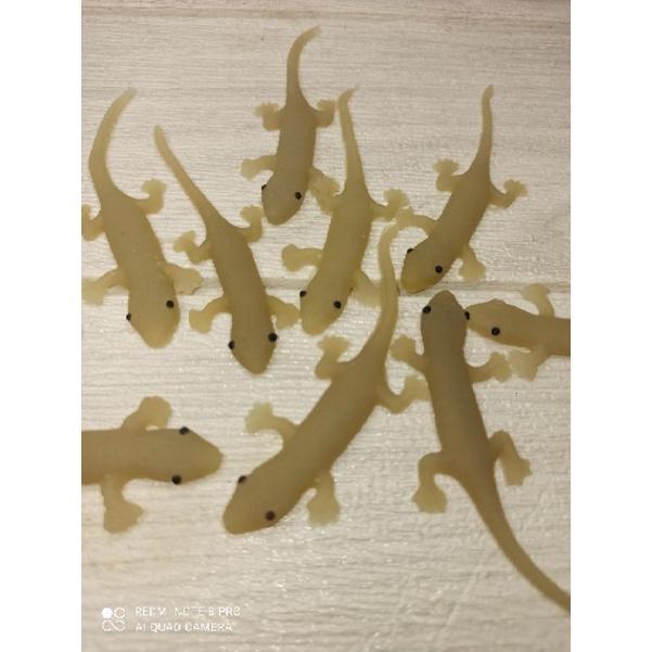 Mainan Karet Cicak Panjang Mirip Asli Lentur