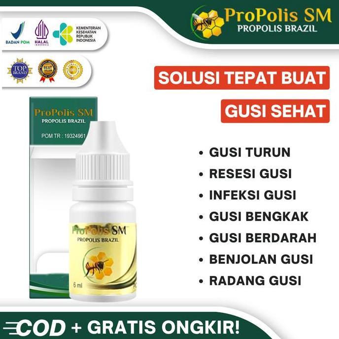 Fit- Obat Gusi Turun Herbal - Resesi Gusi - Gigi Turun - Propolis Sm Brazil