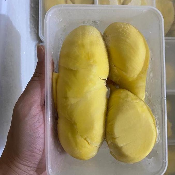 Frutexz- Durian Montong Palu Parigi