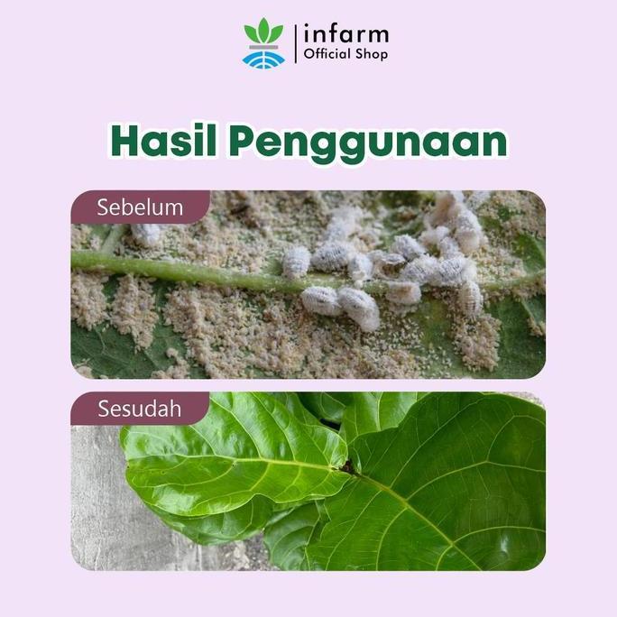 Gardendrm- Infarm - Pestisida Nabati Organik Pembasmi Hama Tanaman Pestisida Nabati Organik Pekatan 