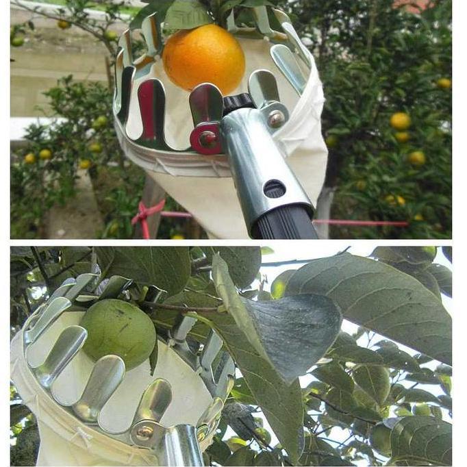 Gardendrm- Alat Petik Buah Ujung Galah Sekop Jaring Pemetik Mangga Jambu Rambutan