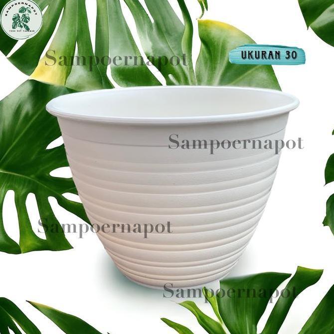 pot bunga tawon putih 30cm