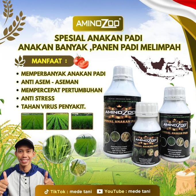 Aminozoo 1 Liter Pupuk Asam Amino Protein Ikan Kualitas Tinggi Mengatasi Asem Aseman Memperbanyak Pe