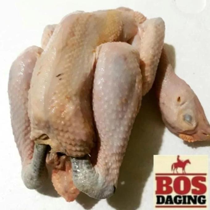 Terlaris Daging Ayam Kampung Utuh Dijamin Fresh Segar