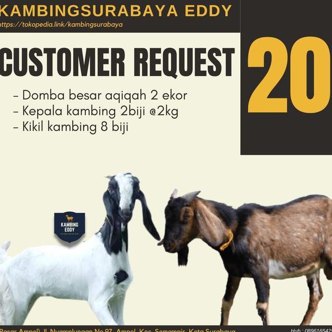 Terlaris 2 Domba Aqiqah Besar, Kepala Kambing 2 & Kikil 8