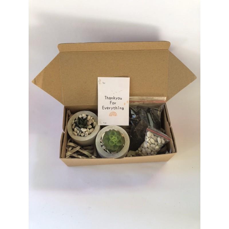 Hampers Sukulen / Kaktus | Gift Birthday, Graduation, Valentine, Lebaran, Nyepi, Imlek | Kado