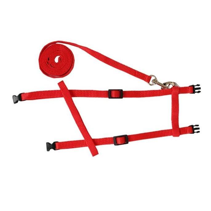 Grade Ori Harnes H Tali Pernuntun Hewan Kucing Musang Kelinci Biawak Luak