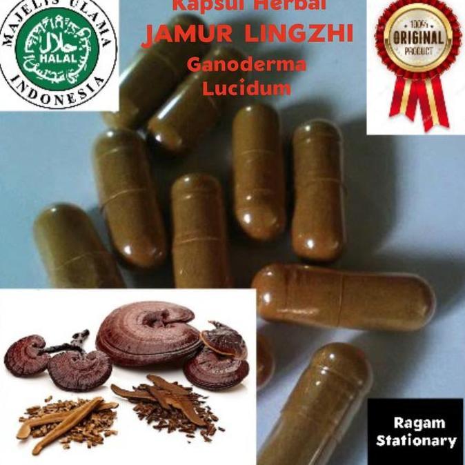 Sehatterusya- Kapsul Bubuk Jamur Lingzhi Herbal Jamu Obat Curah 100 Butir
