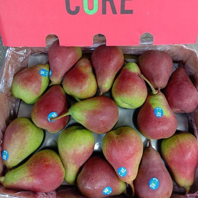 Frutiforti- Pear Forelle | Buah Pear Forelle | Pear Fresh - 1Kg