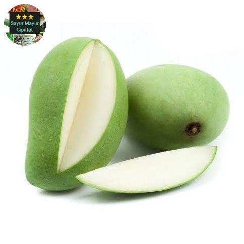 Frutiforti- Mangga Muda Mentah Untuk Rujakan