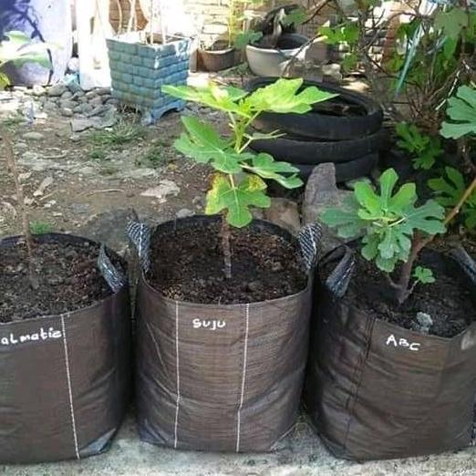 Planter Bag 35 Liter Grow Kualitas Terbaik Harga Termurah