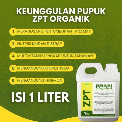 Pupuk Zpt Hormon Tanaman Anti Stress Daun Akar Batang Bunga Buah Organik / Pupuk Zpt Pemacu Tumbuh T