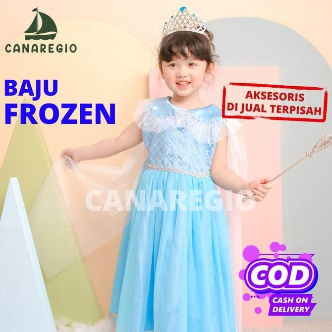 BAJU FROZEN GAUN PESTA ANAK FROZEN BAJU PESTA ULANG TAHUN COSPLAY FROZEN ANAK