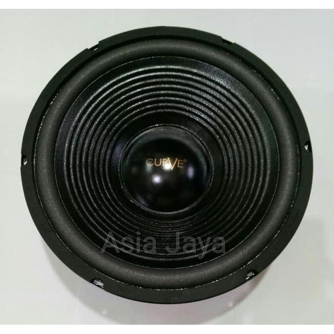 Speaker 12 Inch Curve Woofer 350 Watt terlaris