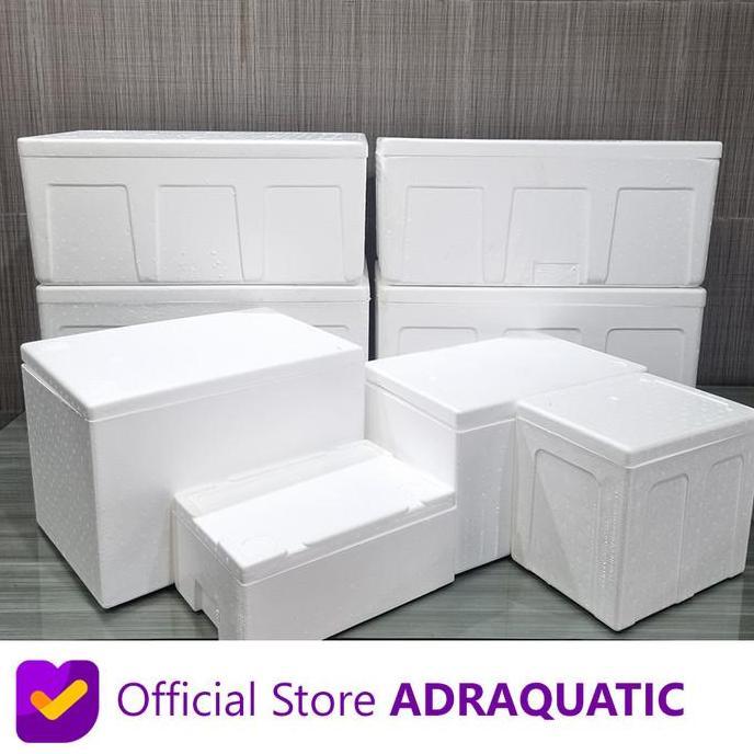 Orgnzr- Box Styrofoam 1Kg Uk. 30X20X10 Cm Sterofoam Bok Boks Sterofoam