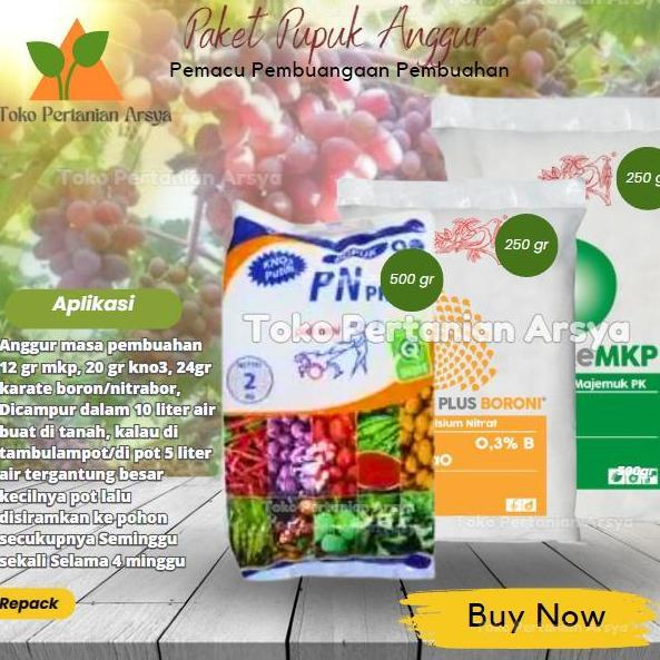 Tmn- Paket Pupuk Anggur Kno3 Putih + Mkp + Boron