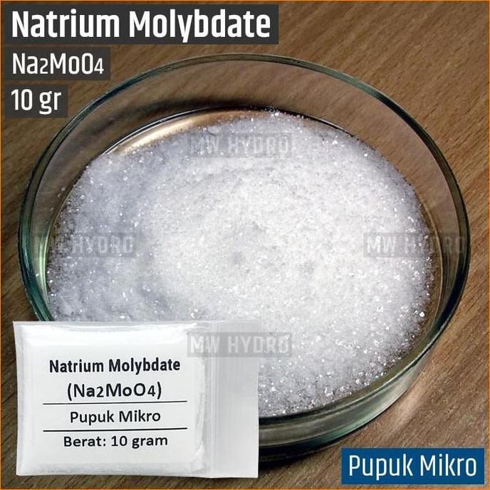 Natrium Molybdate / Sodium Molybdate - 10 gr - Pupuk Mikro Hidroponik
