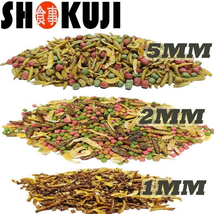 NEW 3KG SHOKUJI PELET BRAZIL RES RAZORBACK MAKANAN KURAKURA AIR BRASIL DAMER CST PIPUT AMBON PAKAN P