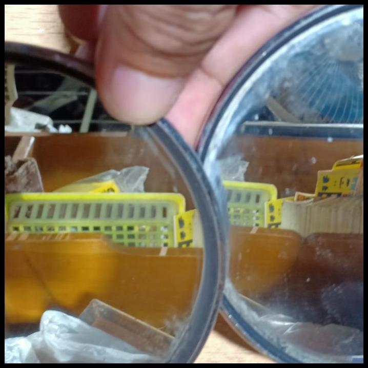 BEST DEAL SPION GL100 MS JAPAN DRAT 14 