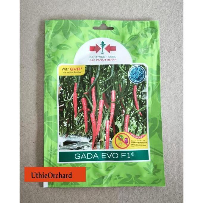 Benih Panah Merah Cabe Besar Gada Evo F1 SP isi 125 Benih