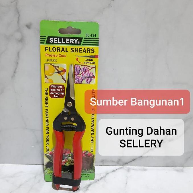 gunting dahan tanaman kecil sellery batang mini