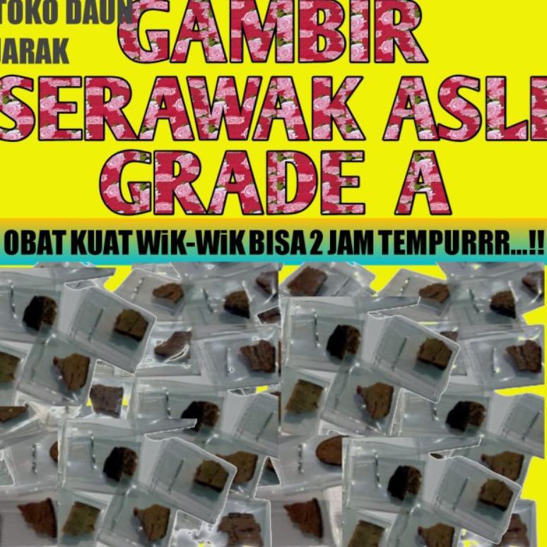Terbaru Gambir Serawak-Siam Malaysia Asli Original