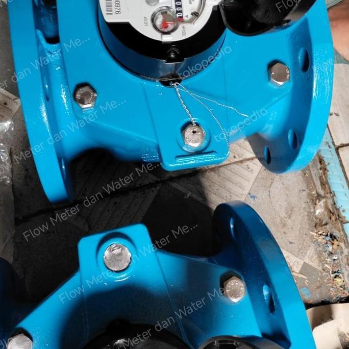 Water Meter Itron WEG150 Size 6 Inch / Water Meter ITRON