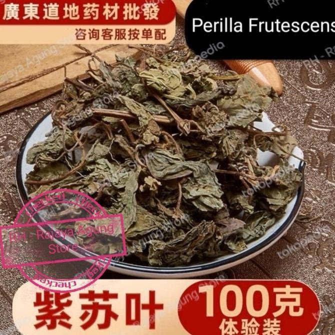 NEW 100g Daun Shiso Leaf Zi Su Ye Perilla Frutescens Leaf