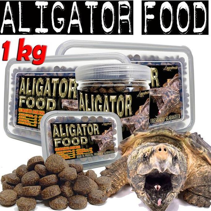 ALIGATOR FOOD PAKAN PELET KURA AIR CST COMMON SNAPPING TURTLE REPTILE