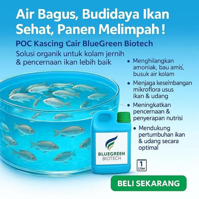 BlueGreen Biotech POC Probiotik Organik Kascing Cair Perikanan