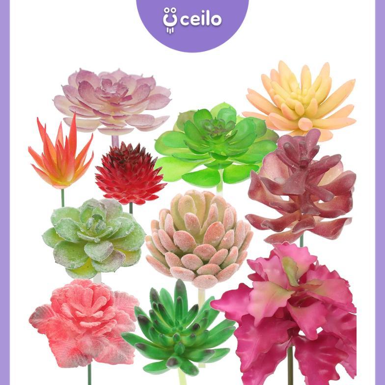 NEW PRODUCT CEILO  Sukulen Mini Artificial Tanpa Pot | Kaktus Sukulen Artificial | Sukulen Plastik |