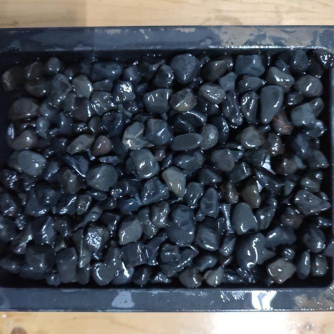 Batu Hitam Alor Bali (Batu Alam Koral Sikat Pekat Carport Lantai Garasi Hias Taman)