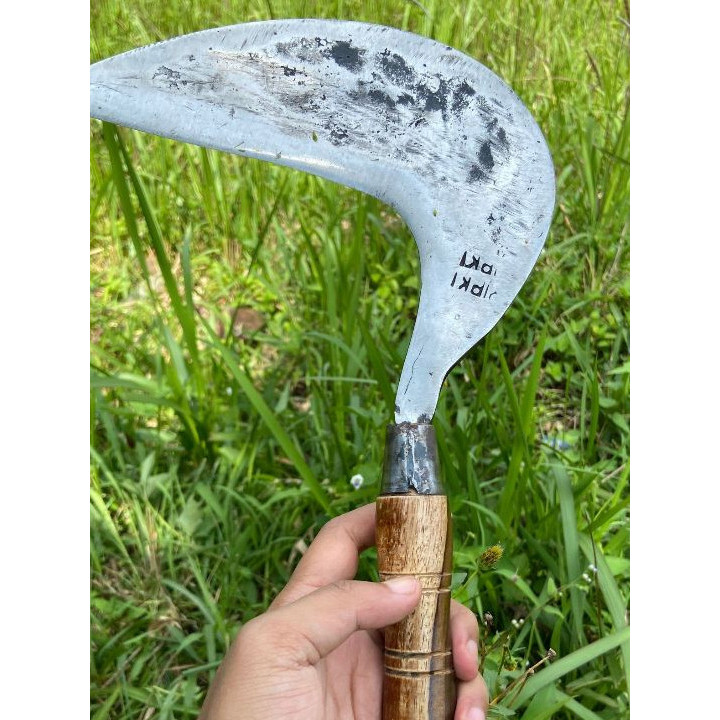 [Gratis Ongkir] Arit rumput baja per asli peralatan kebun