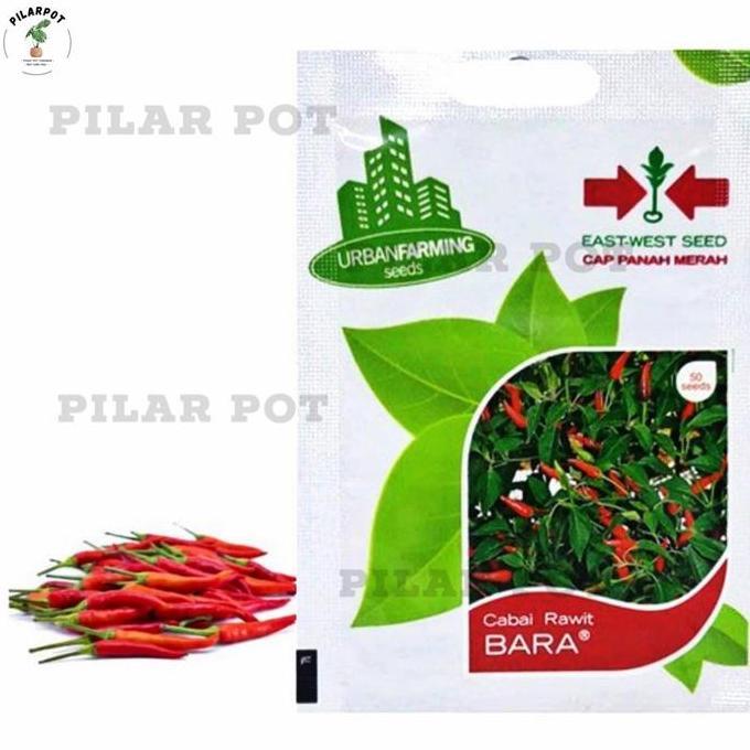 benih bibit cabai rawit bara cap panah merah - CABAI RAWIT BARA
