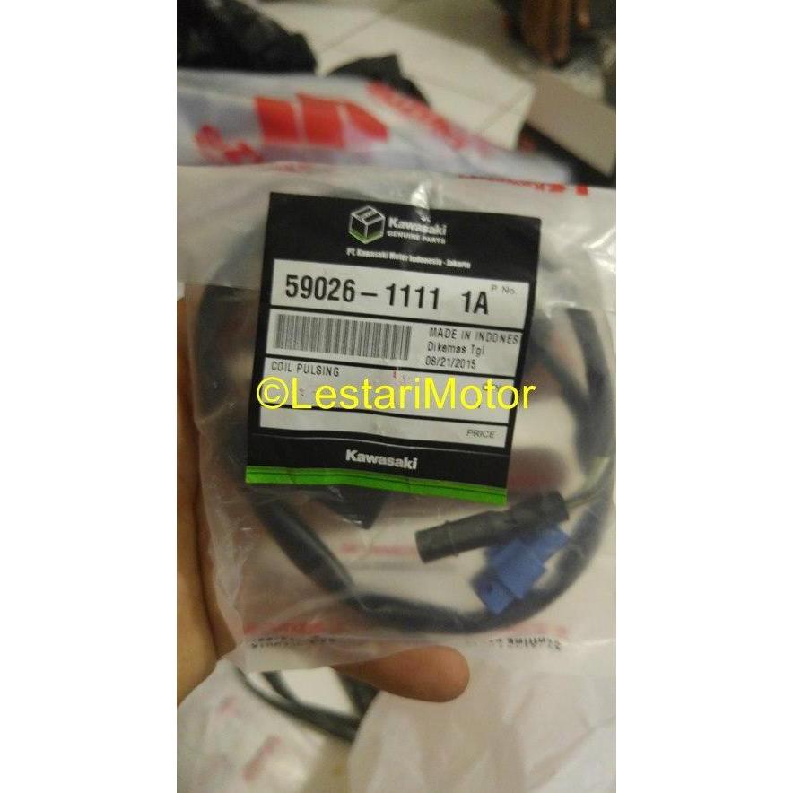 Pulser Ninja R / Ninja RR Original Kawasaki