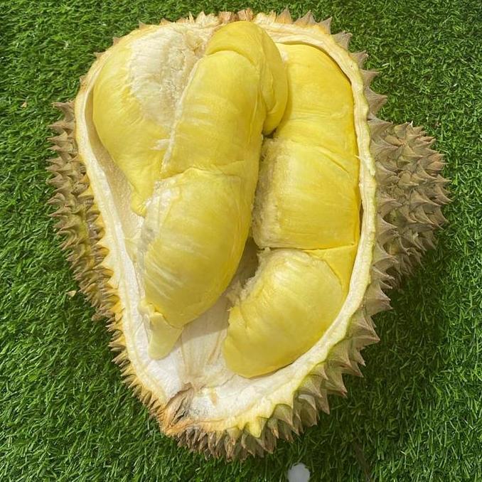 Frutting- Durian Montong Palu Parigi Utuhan/Butiran