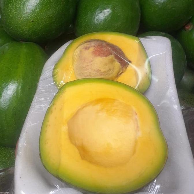 Frutting- Alpukat Papua | Alpukat Papua Raja | Alpukat Mentega | Alpukat - 1 Kg