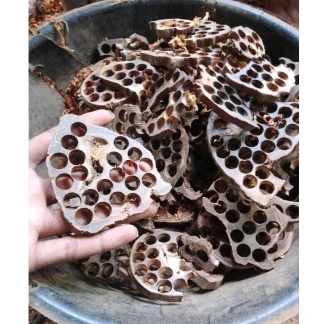 Limbah kayu gaharu 1kg kayu gaharu asli Kalimantan 500gram