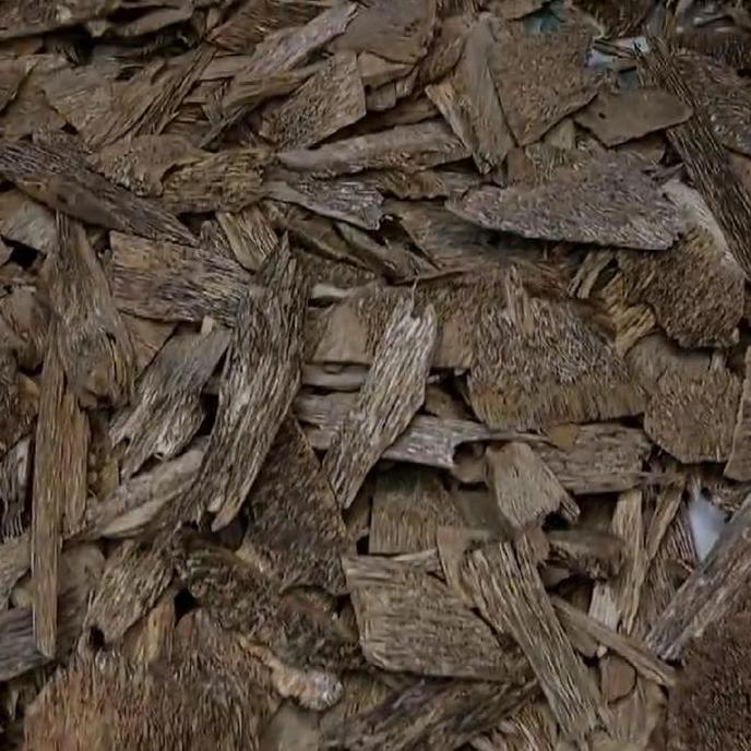 Kayu Gaharu Kalimantan GKCBB01 Asli Alami Wangi Khas Natural Grade Kacangan AB