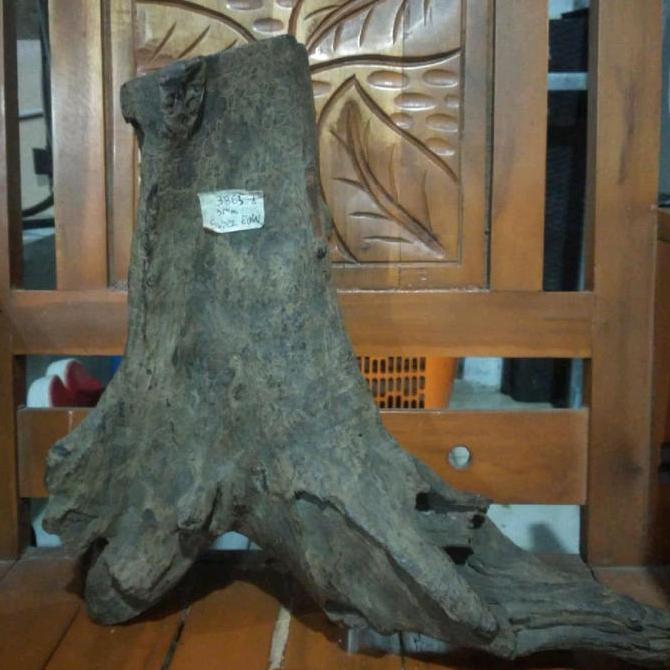 Galih Kayu Gaharu Super Kalimantan