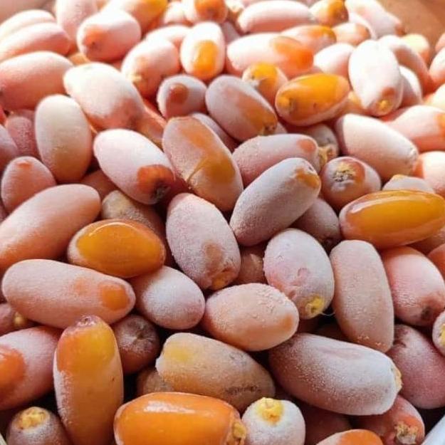 KURMA RUTHOB KURMA FRESH LANGSUNG DARI LIBYA - 2kg