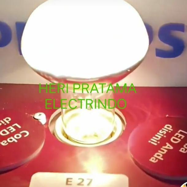 LAMPU SPOT 25W 25 W 25WATT 25 WATT UVA UVB PEMANAS REPTILE PHILIPS