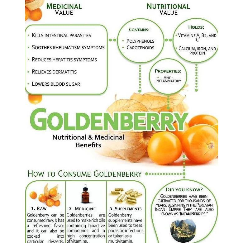 Jual Buah Ciplukan 1KG Fresh Golden Berry